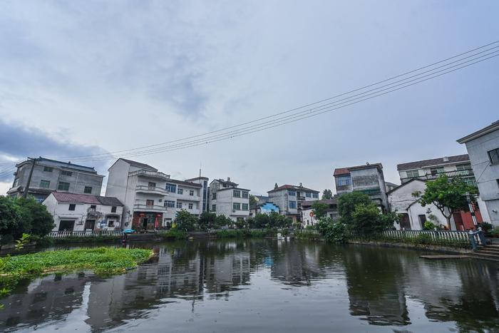 这是金华市金东区曹宅镇雅里村一景(6月20日摄.