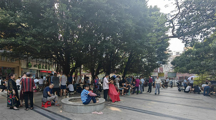 黄村榕树边，不少都是当地房东（图源：优优）