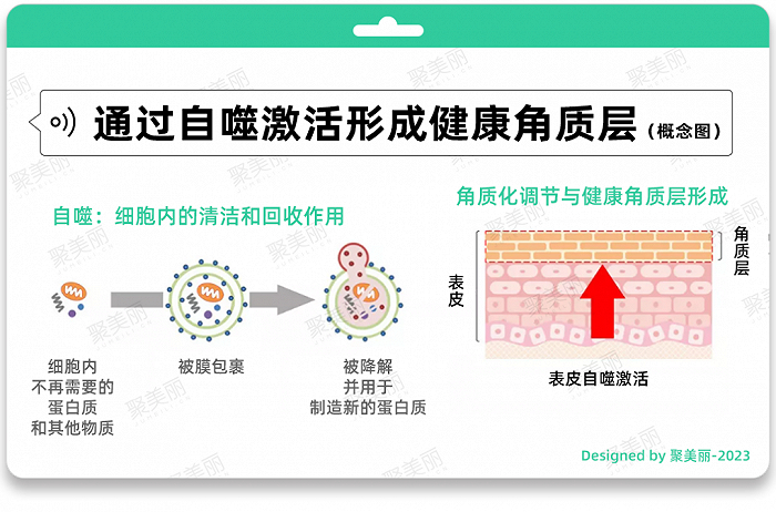 △图片来源于花王官网