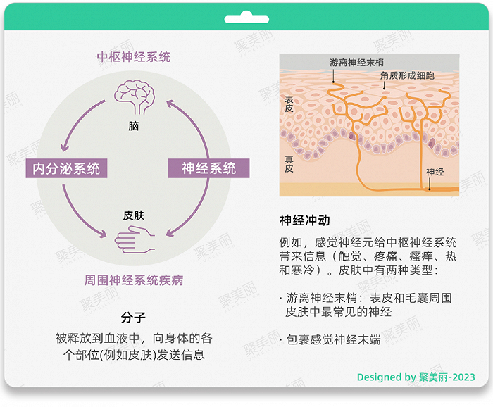 △图片来源于产品资料