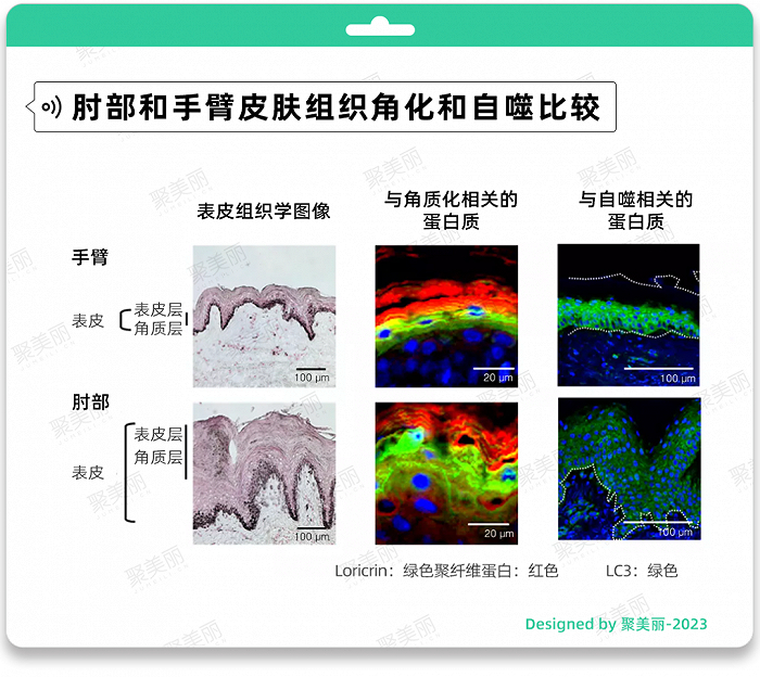 △图片来源于花王官网