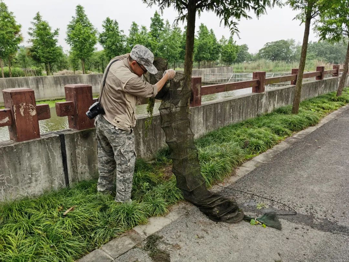 图说：志愿者清理地笼网。本报记者 李一能 摄