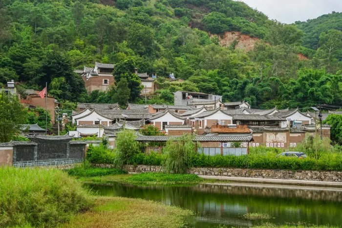 坝心——四季"不打烊"|湿地_新浪新闻