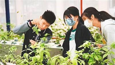 图为两地学生共同参观雾培大棚。主办方供图