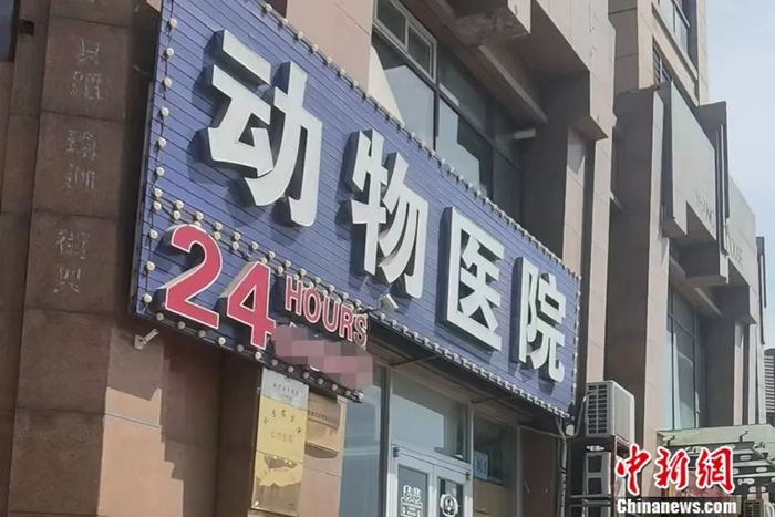 北京丰台区的一家宠物医院。彭婧如 摄