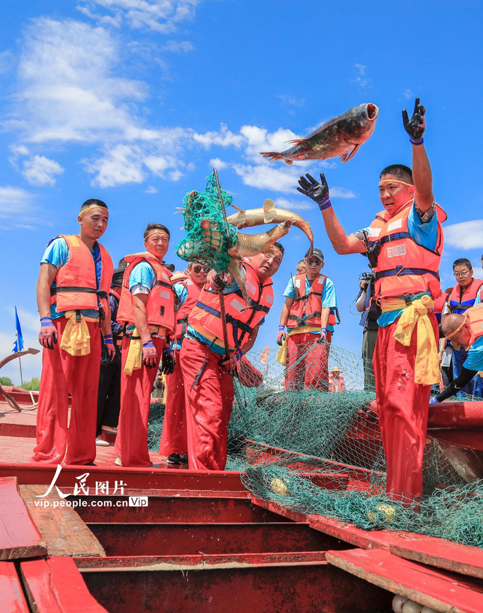 新疆博湖:博斯腾湖巨网捕鱼