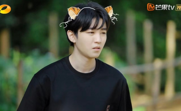 王俊凯这个猫猫耳朵特效太可爱了吧……|猫猫|王俊凯|耳朵_新浪新闻