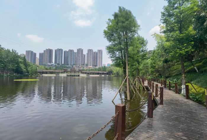 重庆九龙坡区彩云湖国家湿地公园。新华社记者吴燕霞 摄