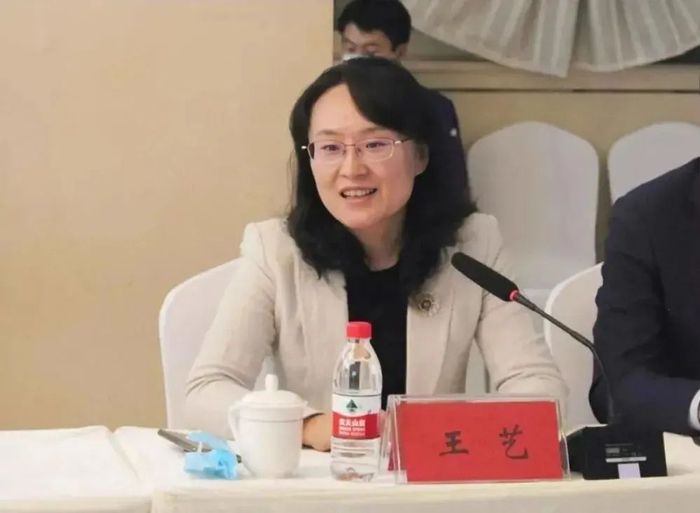 80后王艺(女)任共青团中央书记处书记|王艺|共青团|河南省_新浪新闻