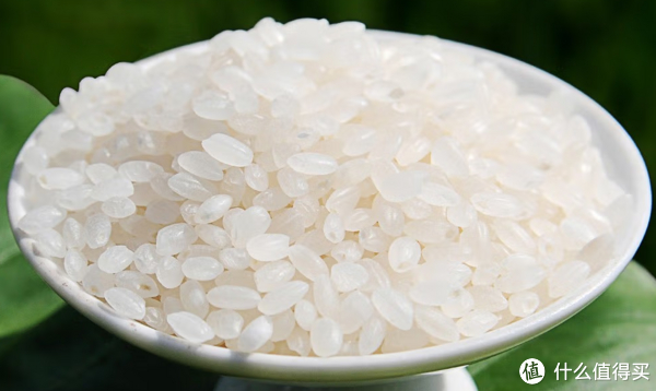 25款地理标志大米