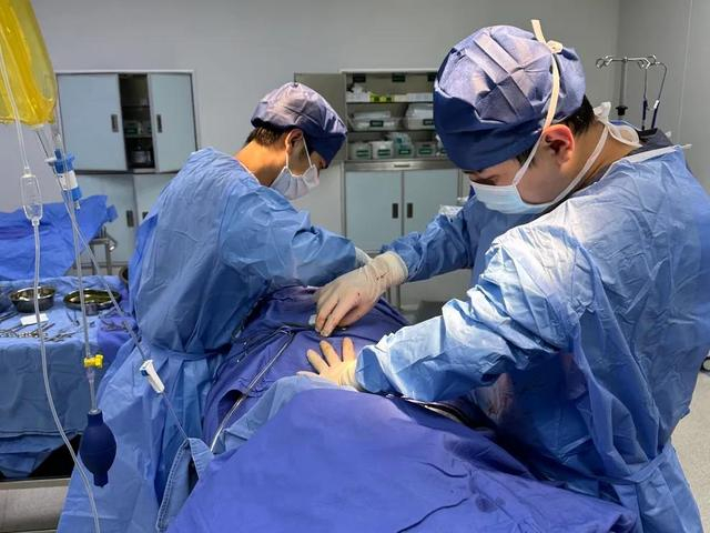 11时许,在急诊外科手术室内,医生正在为达到ecmo撤机标准的病人做撤除