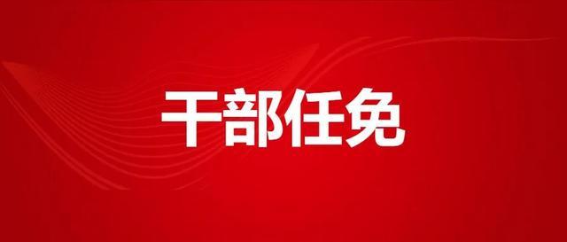 【最新】西安市发布干部任免信息|西安市|退役军人|统计局_新浪新闻