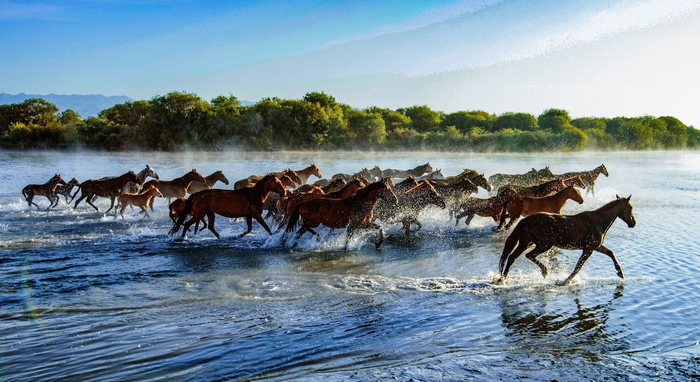 看天马浴河,第三十一届中国新疆伊犁天马国际旅游节新闻发布会在成都
