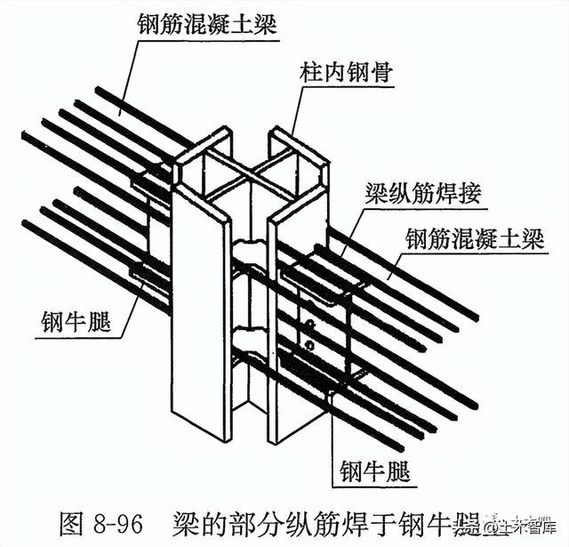 牛腿梁钢筋正确放图图片