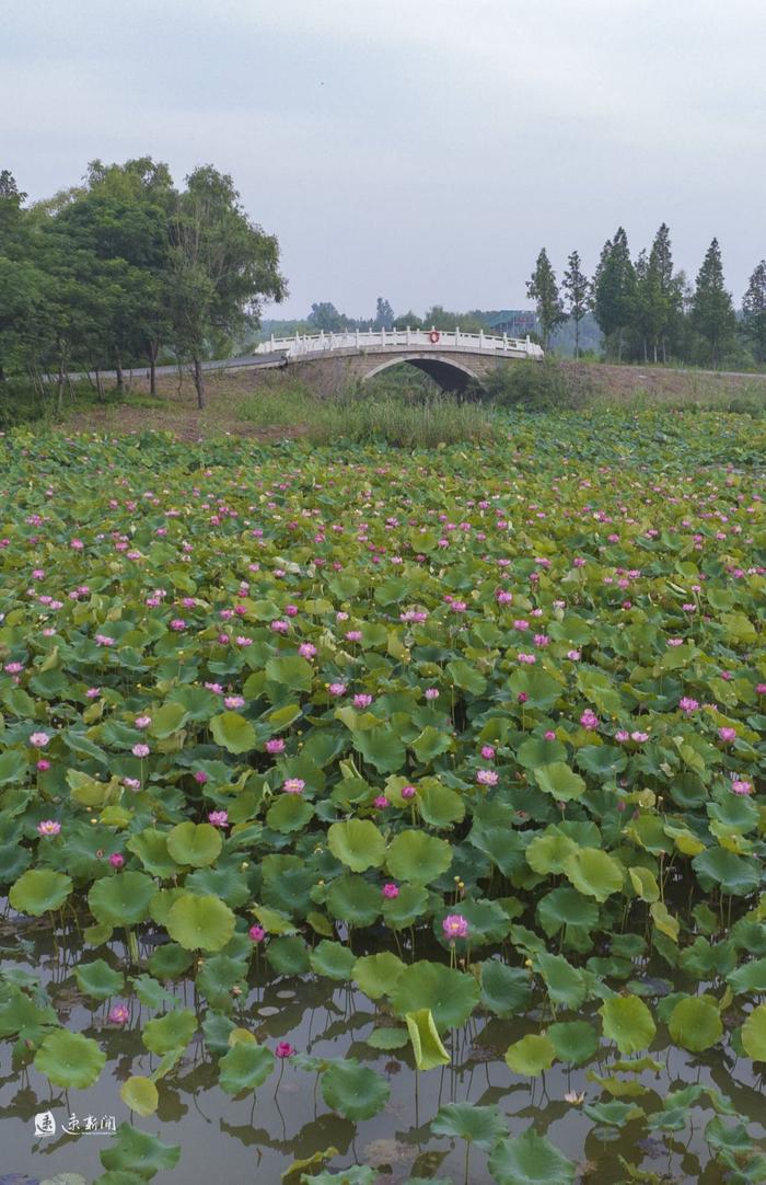 6月23日