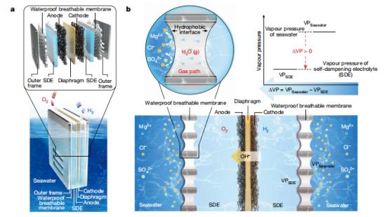 a:典型的海水电解系统示意图；b:水净化迁移过程中基于液气液相相移的迁移机理及其驱动力