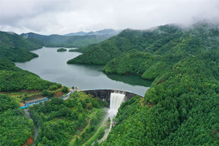 江西乐安:"绿色颜值"变"生态价值"|乐安县|龙潭水库|汇林_新浪新闻