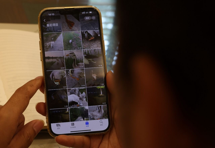 郭先生社交账号里记录“大宝”点滴生活的67条视频。  新京报记者 李英强 摄