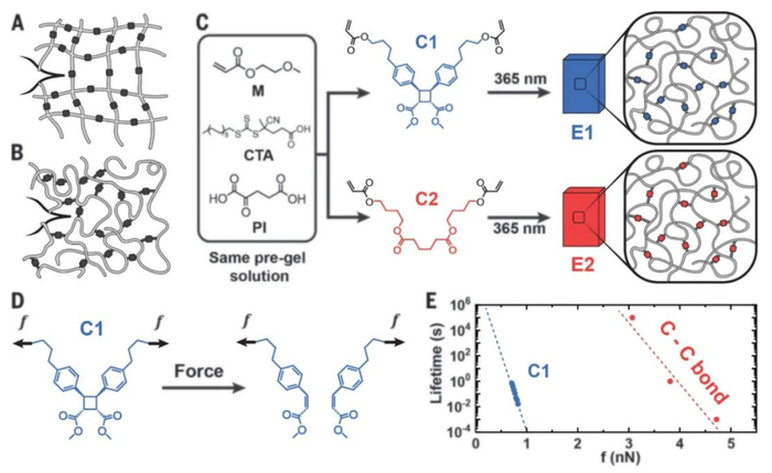 （来源：Science）