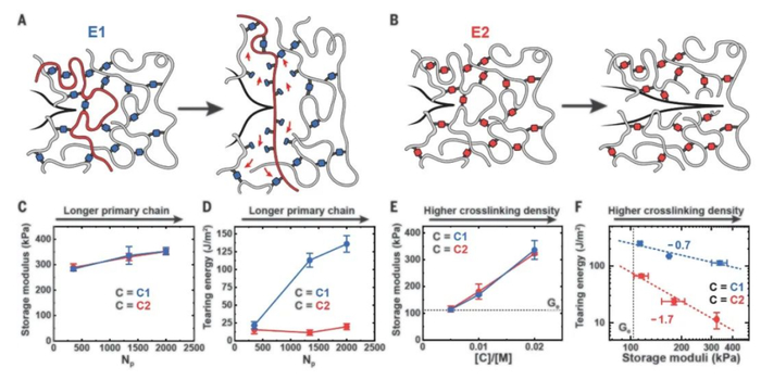 （来源：Science）