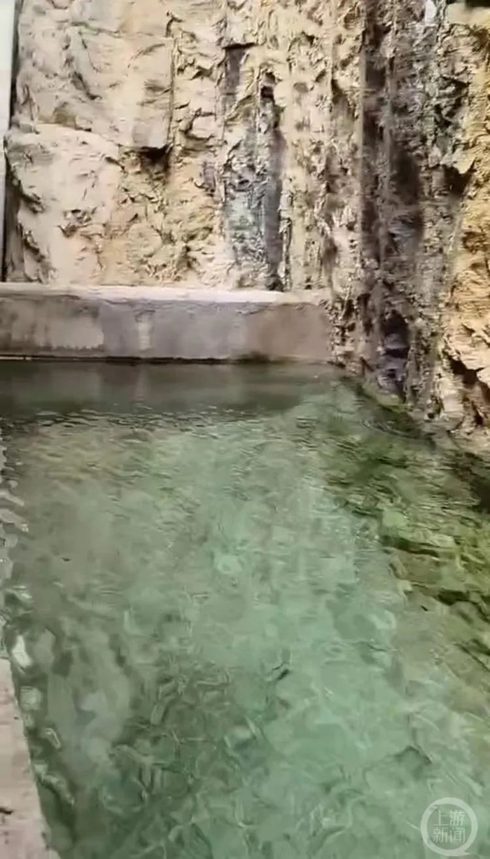 ▲欧女士拍摄的自家厨房外的山泉水缸。图片来源/受访者