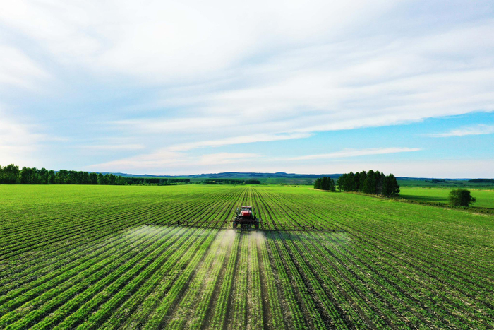 盛夏农忙 大豆迎来"期中考试"|嫩江_新浪新闻
