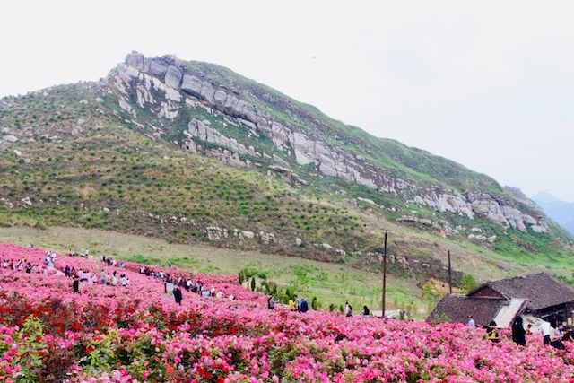 又见青山 "世界锑都"锡矿山的生态蝶变|冷水江市_新浪新闻