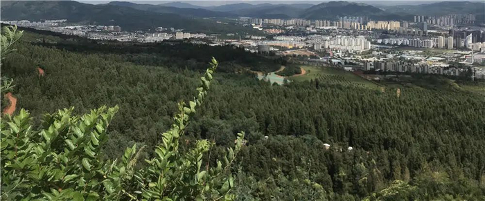 长虫山沿途风景