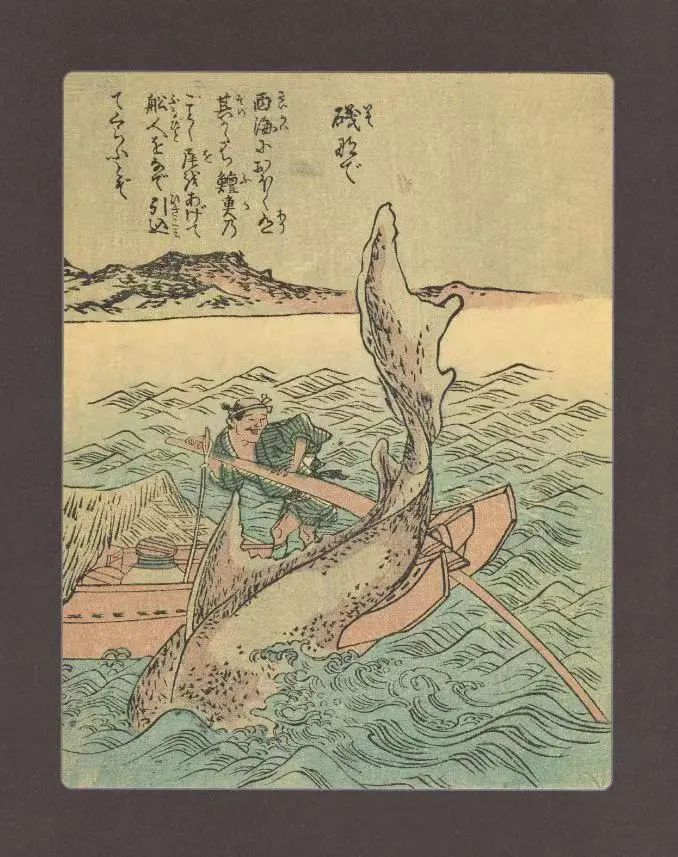 矶抚