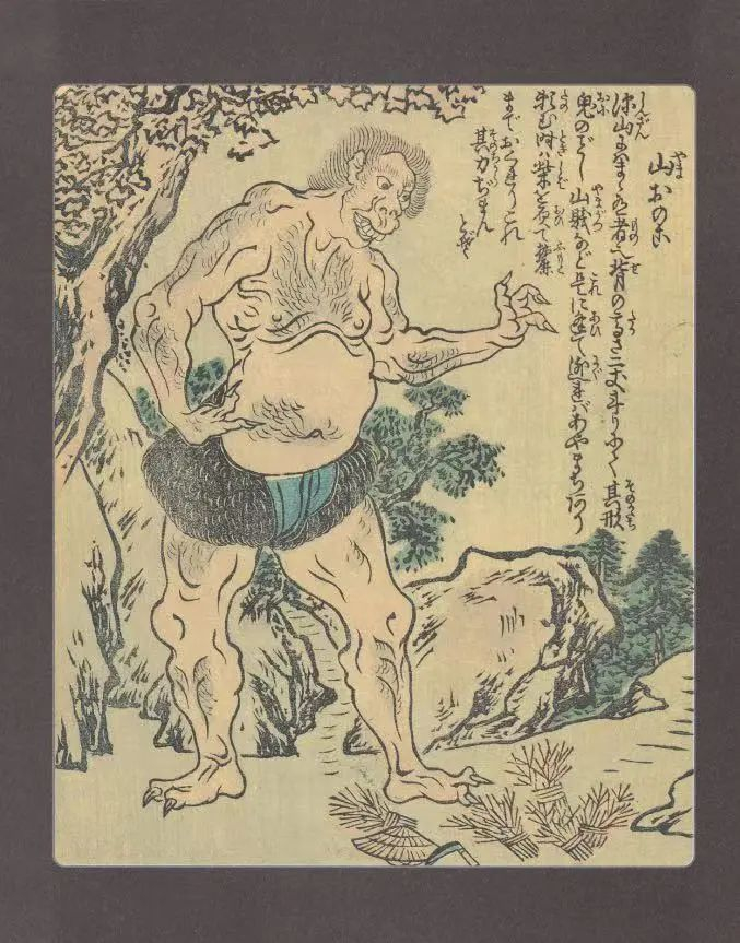 白泽