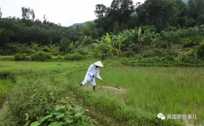 老人50年没睡觉,24小时不间断工作养家,原因至今无人知晓…