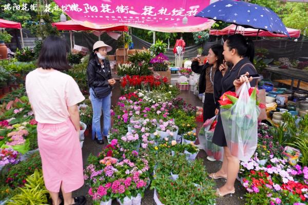 时隔三年 保山端阳花街再次"如约而至"__财经头条