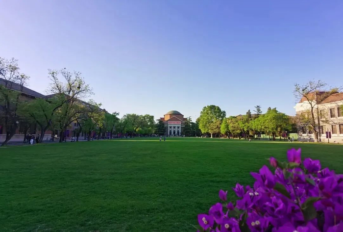 清华大学。图片来源：平安清华