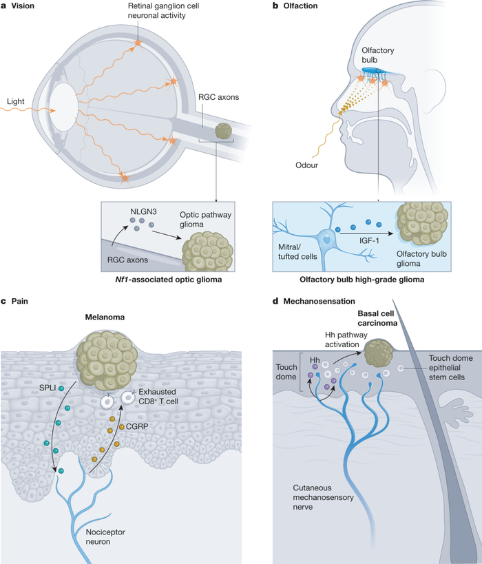 求无毒的IGFtool，邮箱x37bx47b@163.com