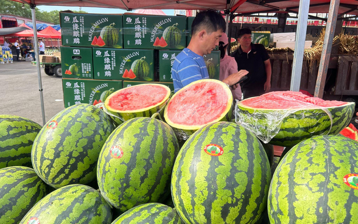 尽管部分产地的西瓜开始退市，但仍然是新发地市场水果的销量“冠军”。新京报记者 陈琳 摄