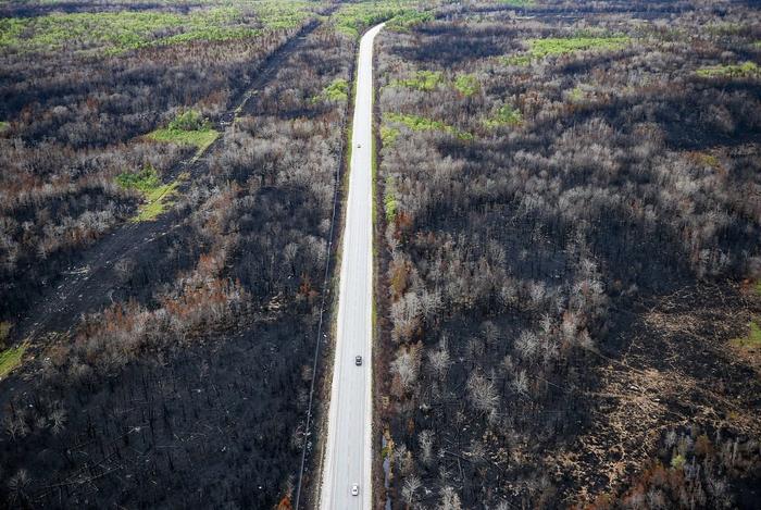6月26日，加拿大新斯科舍省，谢尔本103高速公路两侧丛林大火的残留物。