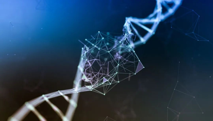 图片来源：123RF