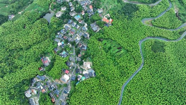 一村一景 | 浙江德清县劳岭村:山清水秀乡村美__财经头条