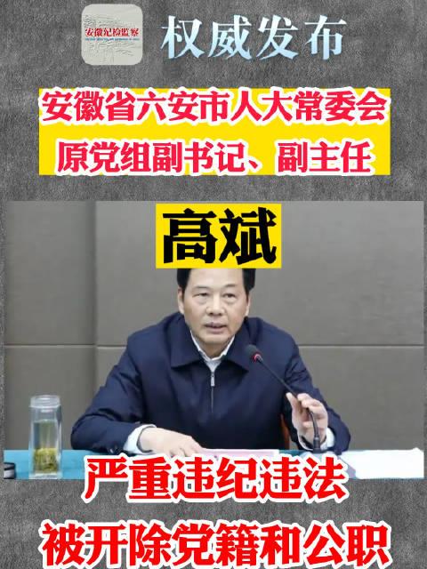 六安市人大常委会原党组副书记副主任高斌被双开