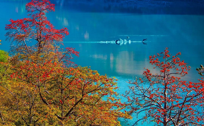 水排行_中国水质指数排行|杭州|千岛湖_网易订阅(2)