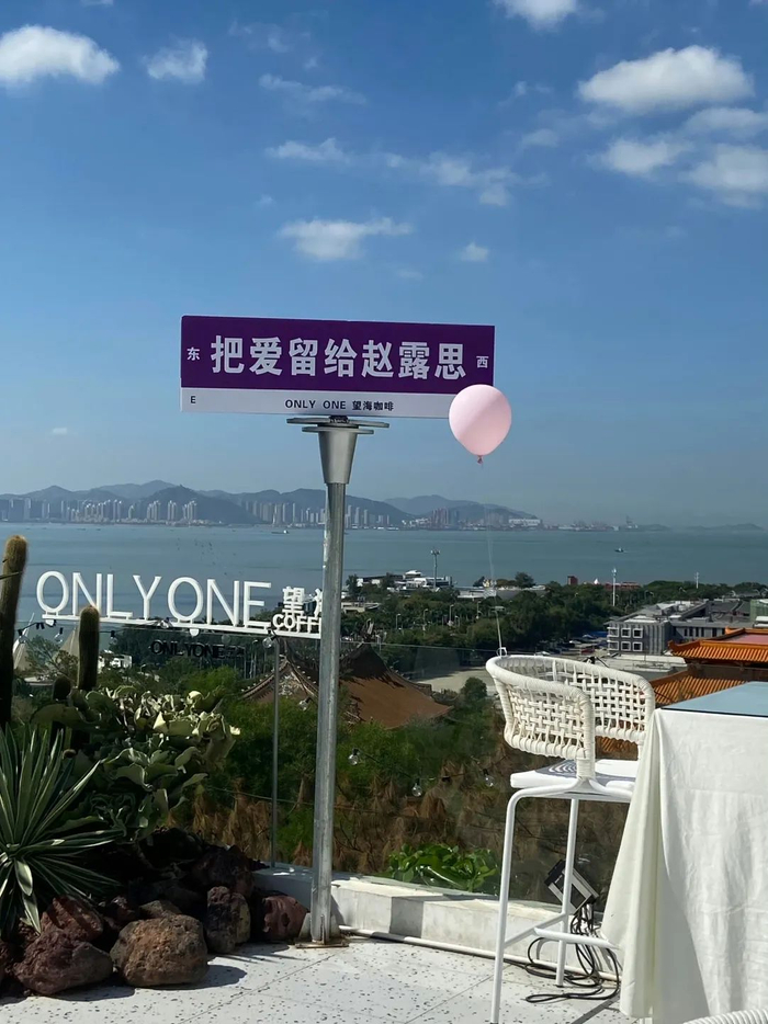 图片来源：微博@赵露思后援会