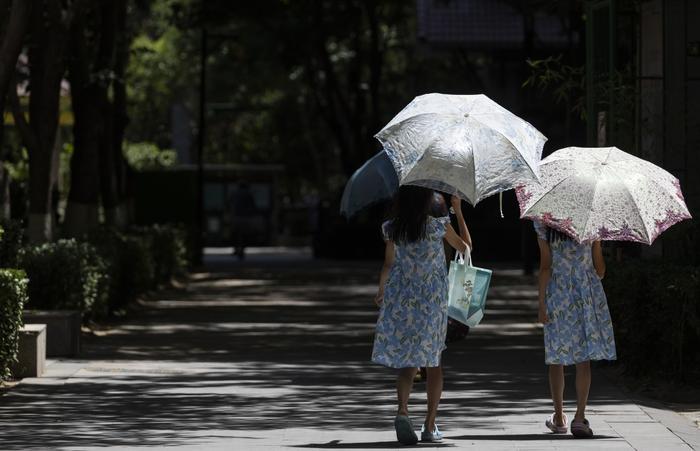 7月6日，北京向阳，由于气温高、日照强，小一又友打着太阳伞遮阳。  新京报记者 陶冉 摄