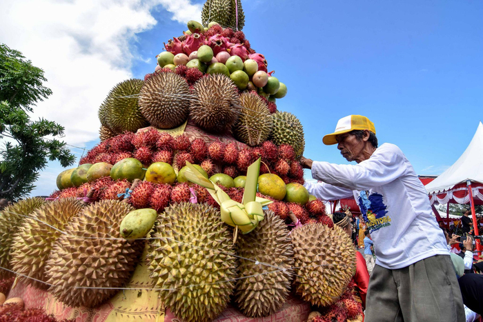 印度尼西亚举办榴莲节
