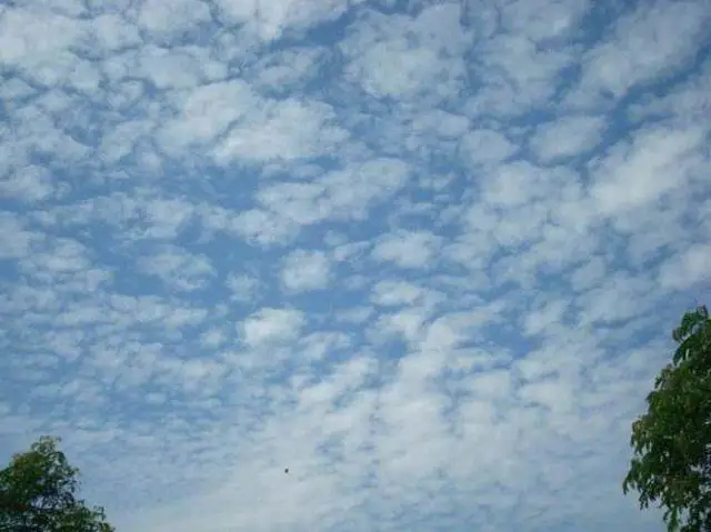 图片来源：中国气象数据网