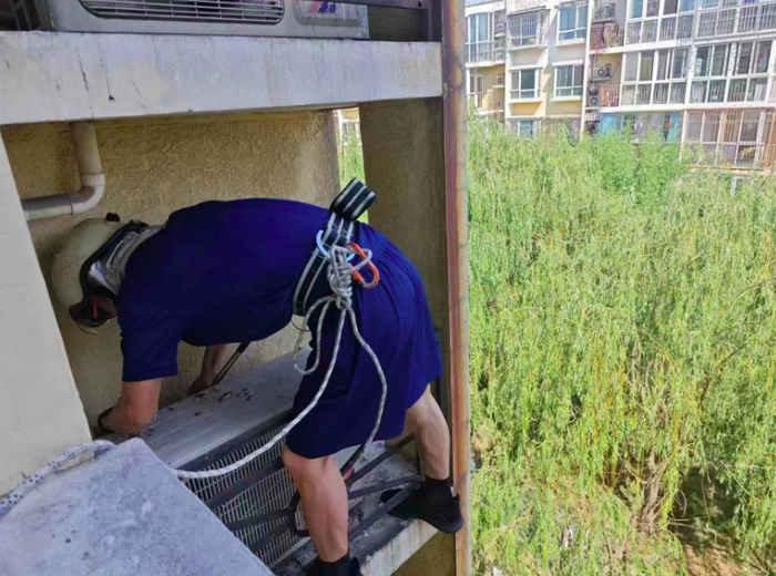 专业人士给鸽子挪窝