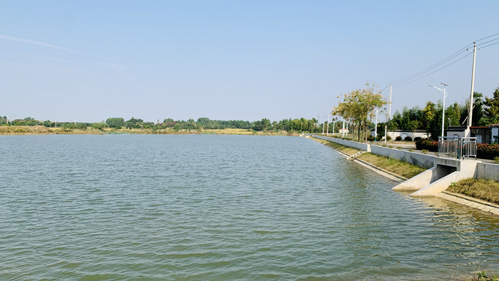 高淳东坝振兴乡村留住乡愁南京市高淳区第三部村志红松村志编纂发行