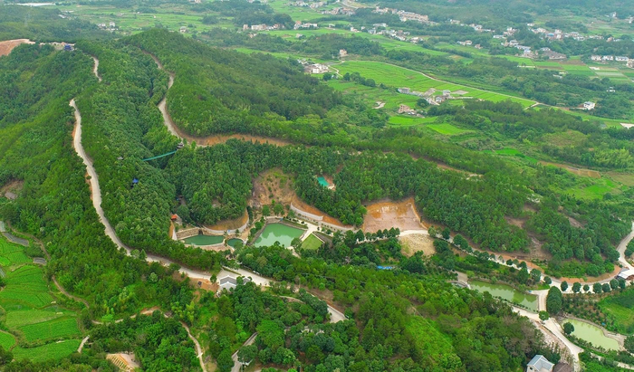 广东平远县全面落实林长制推动林业高质量发展