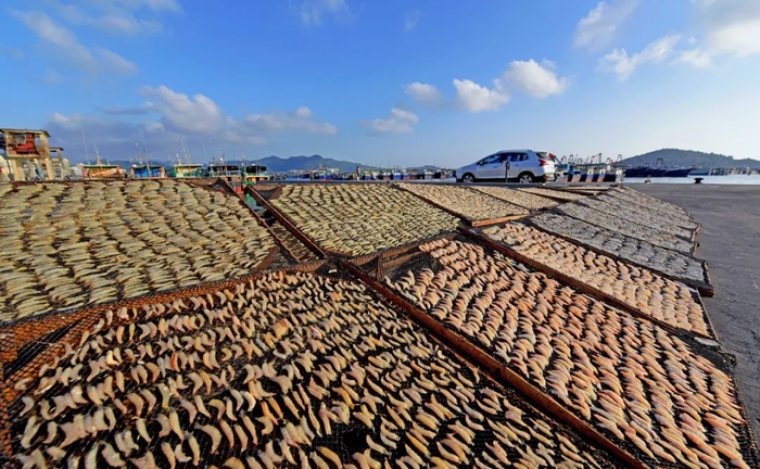 东平鱿鱼干晒制技艺东平渔业东平海蜇特色产业鸳鸯石公园口洋村荷花