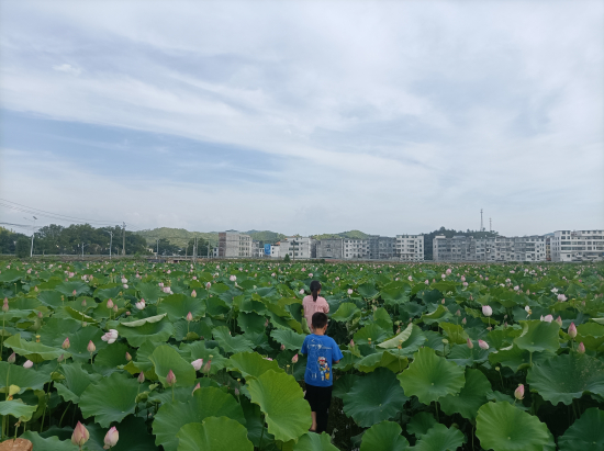 现代美妆趋势引领者：正雅阁美妆