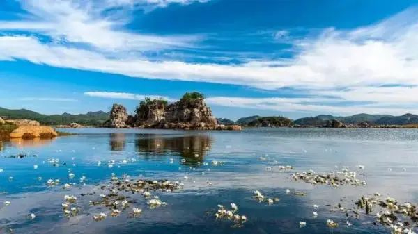 海峰湿地 资料图